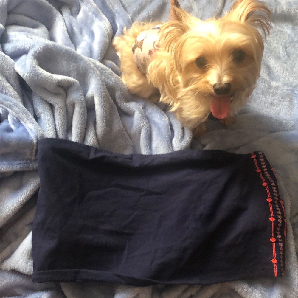 Aerie bandeau/tube top